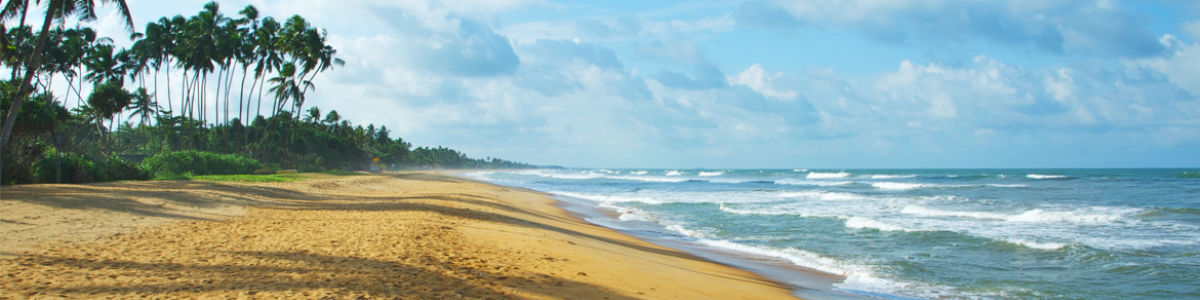Headline for Leisure Activities to be done near Kalutara -Mandatory visits in down south