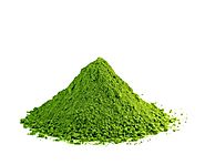 Matcha Tea | Organic Matcha Green Tea | Bulk Matcha Tea Powder