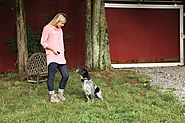 6 Best Citronella Dog Collar Reviews for Safer and More Effective Dog Training