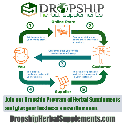 3 Easy Steps to Start your Online Business with a Dropship Program