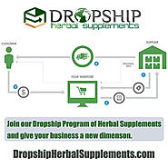 Is Setting Up an Online Business with Dropshipping Program Profitable?