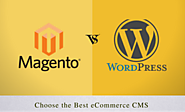 Magento vs WordPress: Which is best for eCommerce web development?