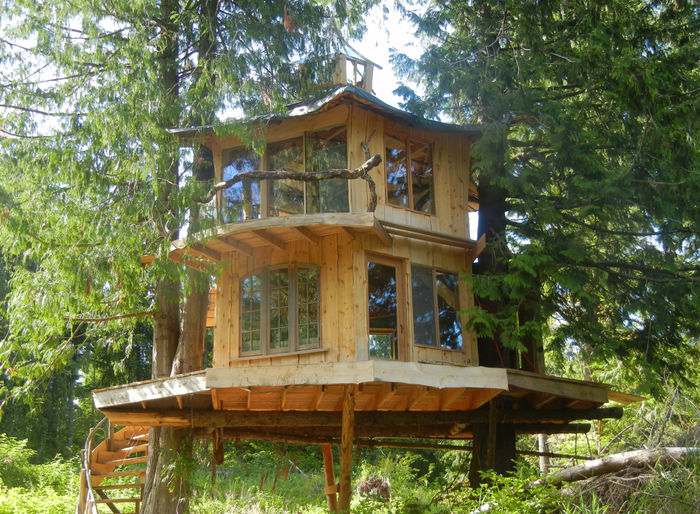 Sunray Kelley Natural Builder A Listly List