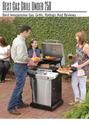 Best Gas Grill Under 250: Best Inexpensive Gas Grills, Ratings And Reviews