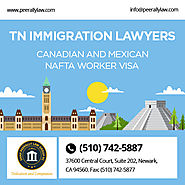 TN Visa Lawyer