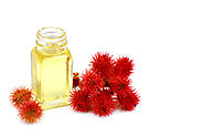 Best Organic castor oil for skin