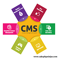 CMS Website Development | Web Design and Development Professionals | CakePHP Ninjas