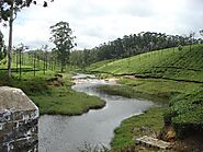 Best Ooty Tour Packages