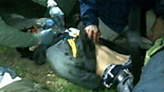 Boston Bomb Suspect Clings to Life