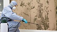 Get Exclusive Mould Removal Services And Grab More Benefits