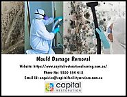 Why You Need To Do A Mould Inspection Melbourne In Your Home.