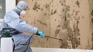 Top Reasons To Hire Professionals For Mould Removal