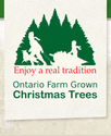 Identifying Ontario's Christmas Trees