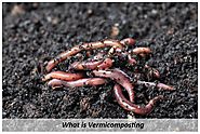 Types of Commercial Composting Systems
