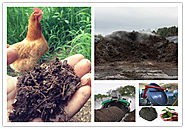 How to Process Chicken Manure into Organic Fertilizer