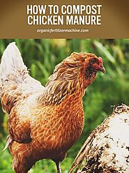 Chicken manure fertilizer