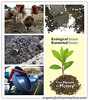 How to Compost Pig Manure into Organic Fertiliser