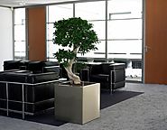 Get Many Benefits with Corporate Plant Service Melbourne