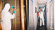 Certified Technicians and Experts for the Mold Removal Process
