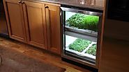 No, that is not a mini fridge. It is an indoor gardening system