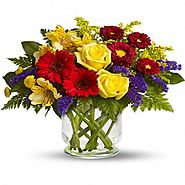 Send flowers, gifts and cakes to Navi Mumbai online with cakeflora.com