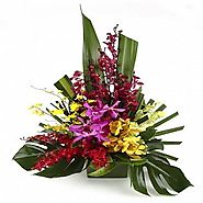Send flowers, gifts and cakes to Bangalore online with cakeflora.com