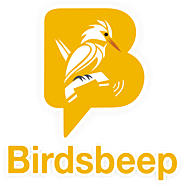 Multilanguage & Multiplatform Chat Application - BirdsBeep