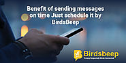 Benefit of Sending Messages On Time: Just Schedule it by BirdsBeep