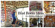 Bird Room Ideas Are Addictive... You Have Been Warned!