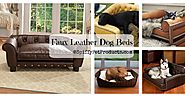 Faux Leather Dog Bed Ideas