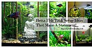 Betta Fish Tank Setup Ideas That Make A Statement!