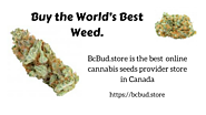 World's best weed 