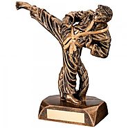 Martial Arts Trophies