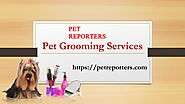 Pet grooming services