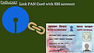 Link PAN Card with SBI account online| Finbucket |