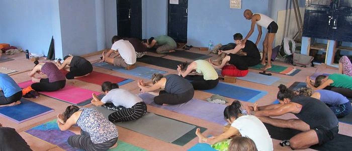Top 5 Yoga Institute In India  International Society of Precision