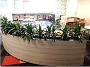 Office Plant Hire Melbourne | Inscape Indoor Plant Hire