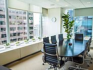 How can various office plants expert can help build great office space