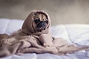 Stay Ahead in a Hectic World - Navigating Work-related Anxiety with Finesse | ZistBoon
