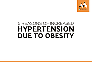 5 reasons of increased hypertension due to obesity