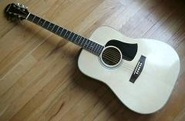 Acoustic guitar