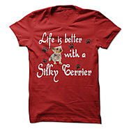 Life is better with a Silky Terrier