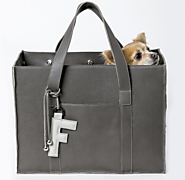 Designer Dog Carriers