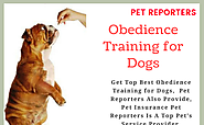 Obedience Training for Dogs