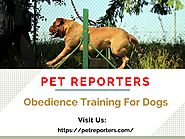 Obedience Training For Dogs