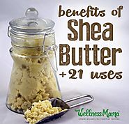 21 Shea Butter Benefits and Uses | Wellness Mama