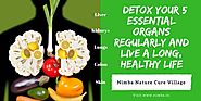 Detox your 5 essential organs regularly and live a long, healthy life!