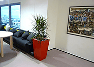 Melbourne Indoor Plants Get Your Indoor The Exquisite Improvement