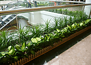 Reasons to Quality Indoor Plant Hire Melbourne