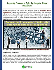 Supporting Processes of Agility By Enterprise Release Management